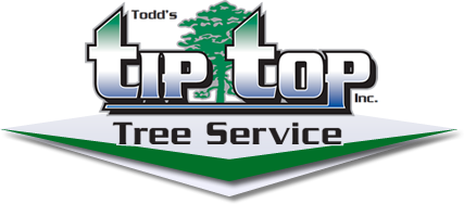 Todd's Tip Top Tree Service