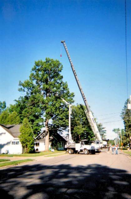 Todd's Tip Top crane truck removing a large tree on a residential street